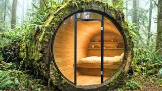 Thumbnail: Building a Cozy House Inside a Giant Fallen Tree Trunk | Forest ASMR