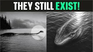 Thumbnail: Prehistoric Animals That Might Exist in the Deep Sea