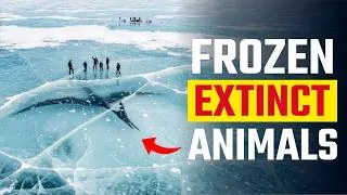 Thumbnail: Extinct Animals Perfectly Preserved in the Ice Age - Part 2