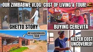 Thumbnail: THE NEIGHBORHOOD | HELPER ARRIVED 🇿🇼 | OUR DURAWALL | FROM USA TO ZIMBABWE 🇿🇼 