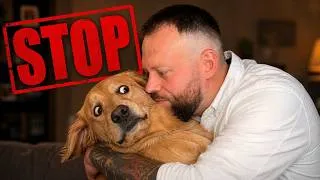 Thumbnail: 7 Human Behaviours Dogs HATE