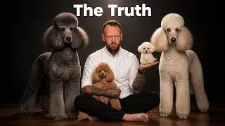 Thumbnail: The Truth About POODLES