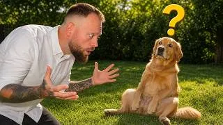 Thumbnail: 4 Weird Dog Behaviours Explained