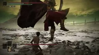 Thumbnail: Elden Ring DLC - Promised Consort Radahn No Damage
