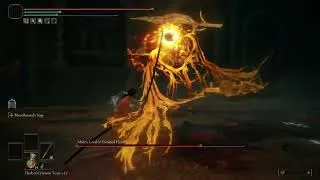 Thumbnail: Elden Ring DLC - Midra No Damage