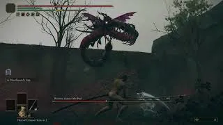 Thumbnail: Elden Ring DLC - Romina No Damage