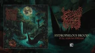 Thumbnail: Sallow Moth "Hydrophilous Brood" (Full Album)