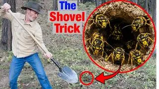 Thumbnail: The Dumbest Way to Destroy a Yellowjacket Nest