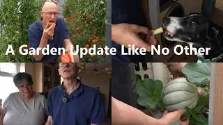 Thumbnail: YT Hard truths A Friends channel GONE + Garden  update, Some things good and some bad...