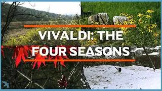 Thumbnail: Vivaldi: The Four Seasons, Op. 8 Federico Agostini, I Musici 1990 비발디: 사계 전곡 페데리코 아고스티니, 이 무지치