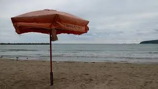 Thumbnail: 4K 1 Hour Sea Sounds: cloudy melancholic beach with birds as evening slowly comes