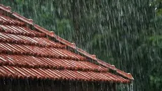 Thumbnail: Sonidos de Lluvia para Dormir 🌧️ Lluvia Fuerte y Truenos en Techo de Metal | Sueño Profundo