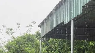 Thumbnail: Rain Sounds on Tiled Roof 🌧️ Powerful Thunder Sounds for Deep Sleep, Relaxation, Study & Focus