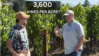 Thumbnail: Why DuMOL Plants Pinot Noir Like Burgundy