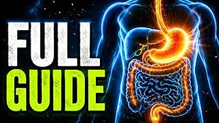 Thumbnail: The Digestive System Every Student Must Understand