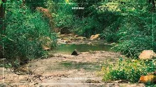 Thumbnail: Relaxing Stream Sounds | Gentle Water & Nature Sounds for Sleep, Study and Relaxation