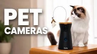Thumbnail: Pet Camera Fail or Win? The Best Gadgets for Your Furry Friend