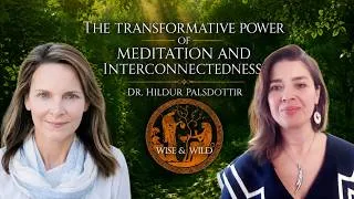 Thumbnail: The Transformative Power of Meditation and Interconnectedness