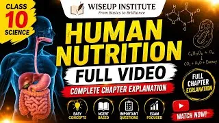 Thumbnail: Class 10 Science Human Nutrition Explained Easily | WiseUp Institute