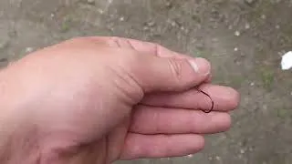 Thumbnail: Trout Bank Fishing Tip