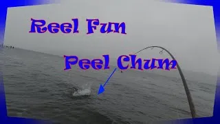 Thumbnail: Peel The Reel (Chum Salmon Fishing)