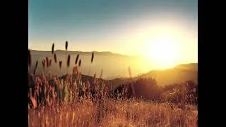 Thumbnail: Solaris - Daylight Shortened