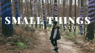 Thumbnail: THE SMALL THINGS IN LIFE