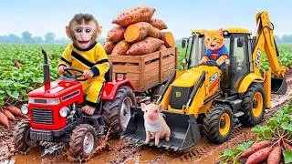 Thumbnail: Monkey Drives a Tractor to Rescue Piglet Stuck in Mud & Clear the Farm | Monkey Farm Work