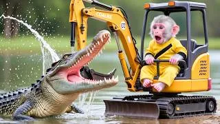 Thumbnail: Monkey Drives Feeds Kittens… But a Giant Crocodile Suddenly Appears! 😱| Monkey Farm Work