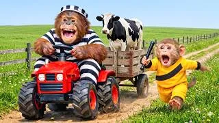Thumbnail: Monkey Drives a Tractor to Catch a Sneaky Cow Thief & Rescue Dairy Cows | Monkey Farm Work