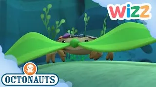 Thumbnail: @Octonauts - The Decorator Crab | Full Episode | Cartoons for Kids | @Wizz  ​