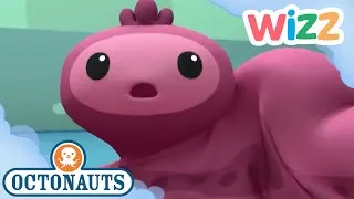 Thumbnail: @Octonauts - Snot Sea Cucumber | Full Episode | Cartoons for Kids | @Wizz