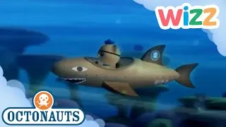 Thumbnail: @Octonauts - It Reminds Me of the Great Storm! | Full Episode | Cartoons for Kids | @Wizz  ​