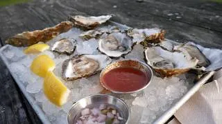 Thumbnail: Visiting Bodega Bay Oyster Co. in California