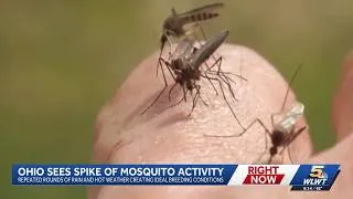 Thumbnail: Ohio seeing spike in mosquito activity