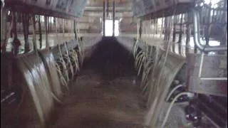Thumbnail: How Crossbrook Farm in Middleburgh survived after Tropical Storm Irene