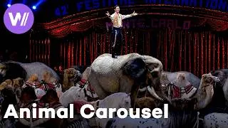 Thumbnail: The Famous Richter Family’s Great Animal Carousel at the Monte-Carlo Circus Festival