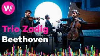 Thumbnail: Ludwig van Beethoven - Trio in D Major | A musical film by 'Trio Zadig'