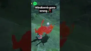 Thumbnail: Such a fun glitch tho #zelda #zeldabotw #botw #glitch #gaming #gameplay #funny #fyp #fypシ #fypage