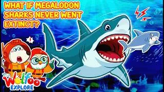 Thumbnail: Why Did Megalodon Go Extinct? 🦈 | 🔍 Wolfoo Explore  - Animals | Educational Videos for Kids