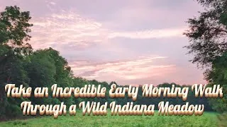 Thumbnail: Take an Incredible Early Morning Walk Through a Wild Indiana Meadow!