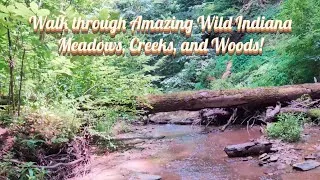 Thumbnail: Take an Amazing Walk through Wild Indiana Creeks, Meadows, and Woods!