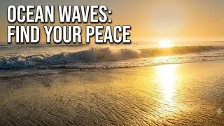 Thumbnail: Calming Ocean Waves & Golden Hour Sunset | Peaceful Beach Sounds #Marina #Beach #chennai 