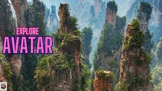 Thumbnail: Exploring Avatar's Real-Life Wonderland: Tracing Avatar's Footsteps in Zhangjiajie's Wonderland!