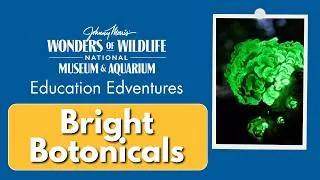 Thumbnail: Bright Botanicals: A Virtual EdVenture with Varsity Tutors