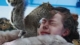 Thumbnail: Squirrel Attack - Charlie and the Chocolate Factory