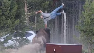 Thumbnail: Bison Tosses Man into the Air in Yellowstone (song)