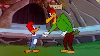 Thumbnail: Woody Buys the Fountain of Youth?! | Woody Woodpecker