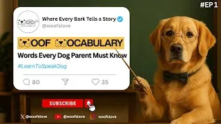 Thumbnail: Learn Dog Language:  Words #dogparents must know || Woof Wocabulary  #dogparenting #dog #pets #puppy