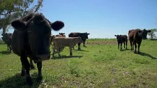 Thumbnail: 🔥Sound Like Beyoncé’s Backup Singer: Master “Cowboy Carter Tour” Like a Native!🎤🇺🇸
